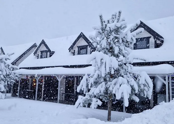 Komfortowe I Stylowe